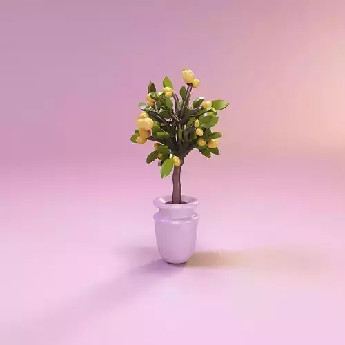 Miniature dollhouse furniture plant lemon tree in pot