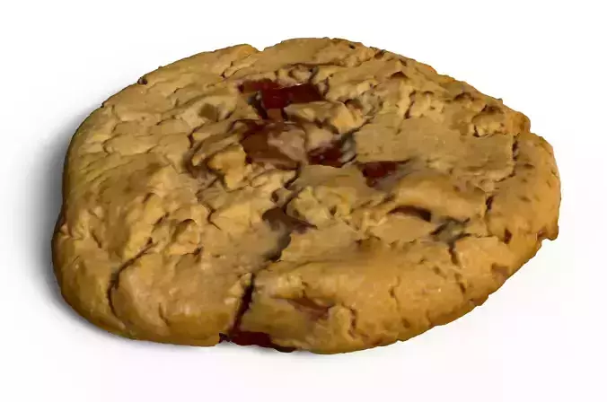 Chocolate chip cookie Free 3D model