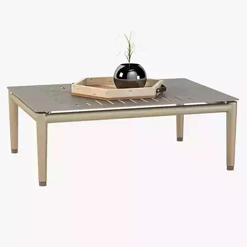 Conic Coffee Table with Centerpiece 3D model