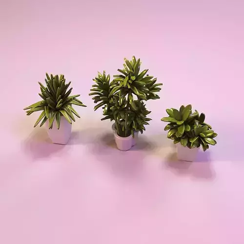 Miniature dollhouse flower plants in pots