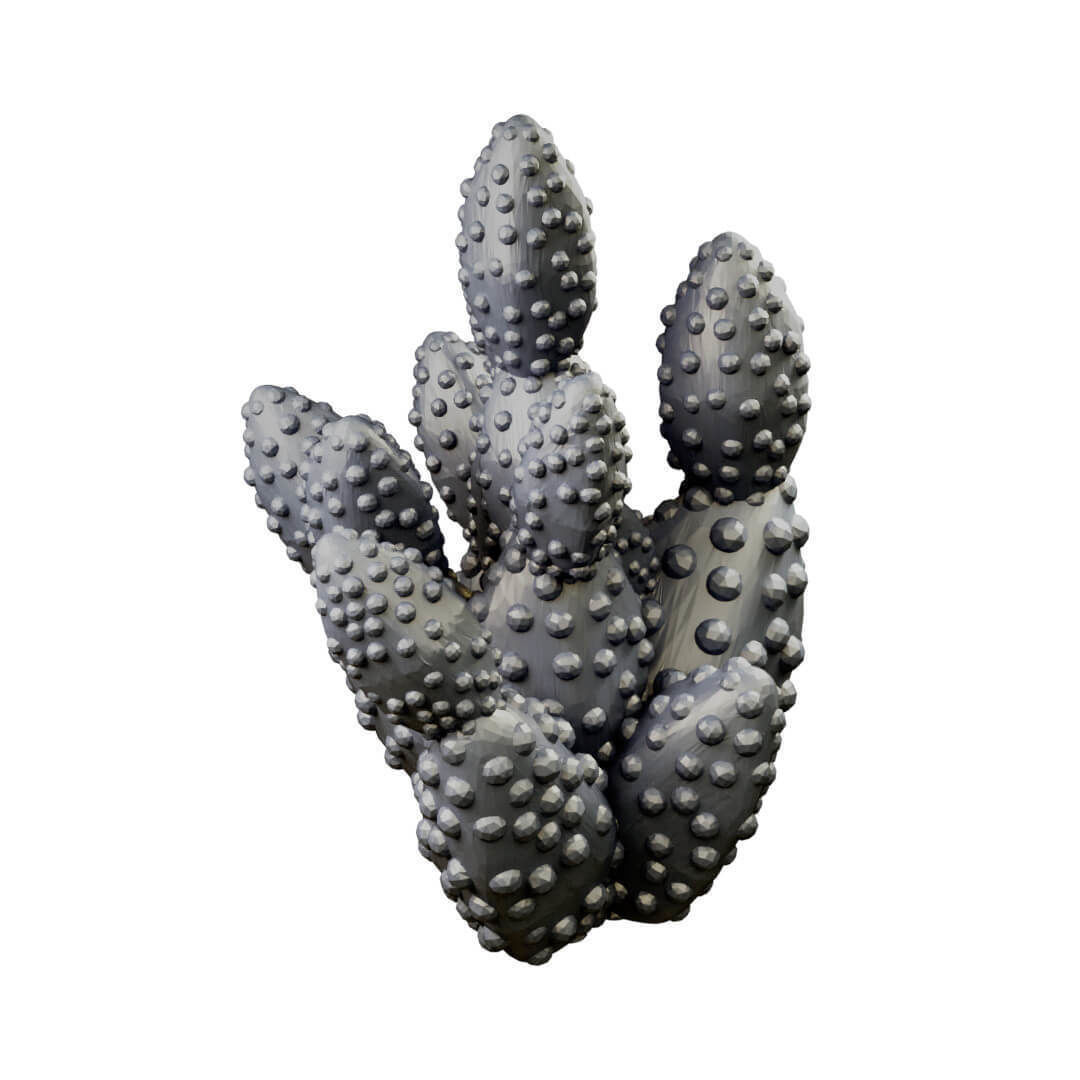 Desert cactus and terrain set for tabletop games 3D Printing 3D print model_3