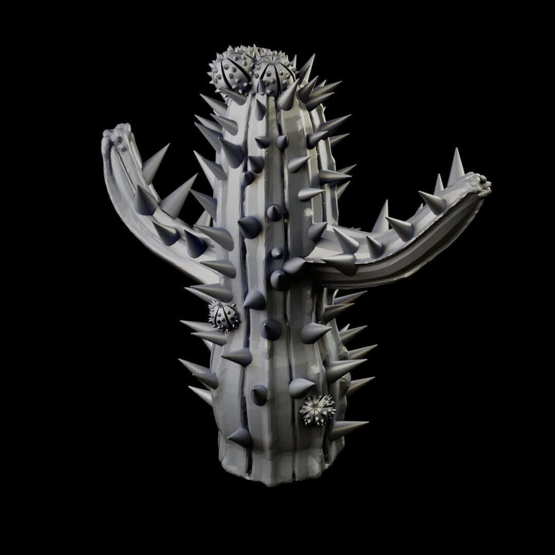 Desert cactus and terrain set for tabletop games 3D Printing 3D print model_13