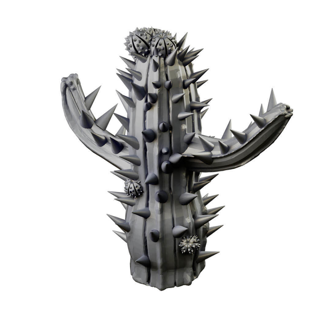 Desert cactus and terrain set for tabletop games 3D Printing 3D print model_10