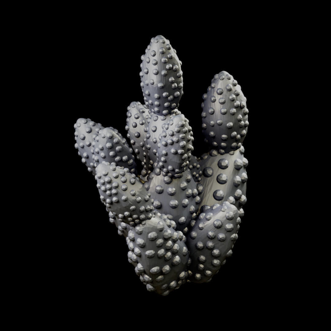 Desert cactus and terrain set for tabletop games 3D Printing 3D print model_4