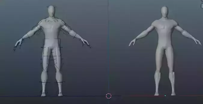 Rigged Male Body 3D model