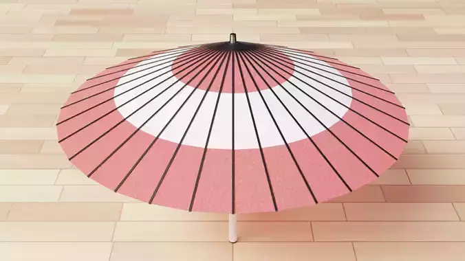 Wagasa Japanese Umbella