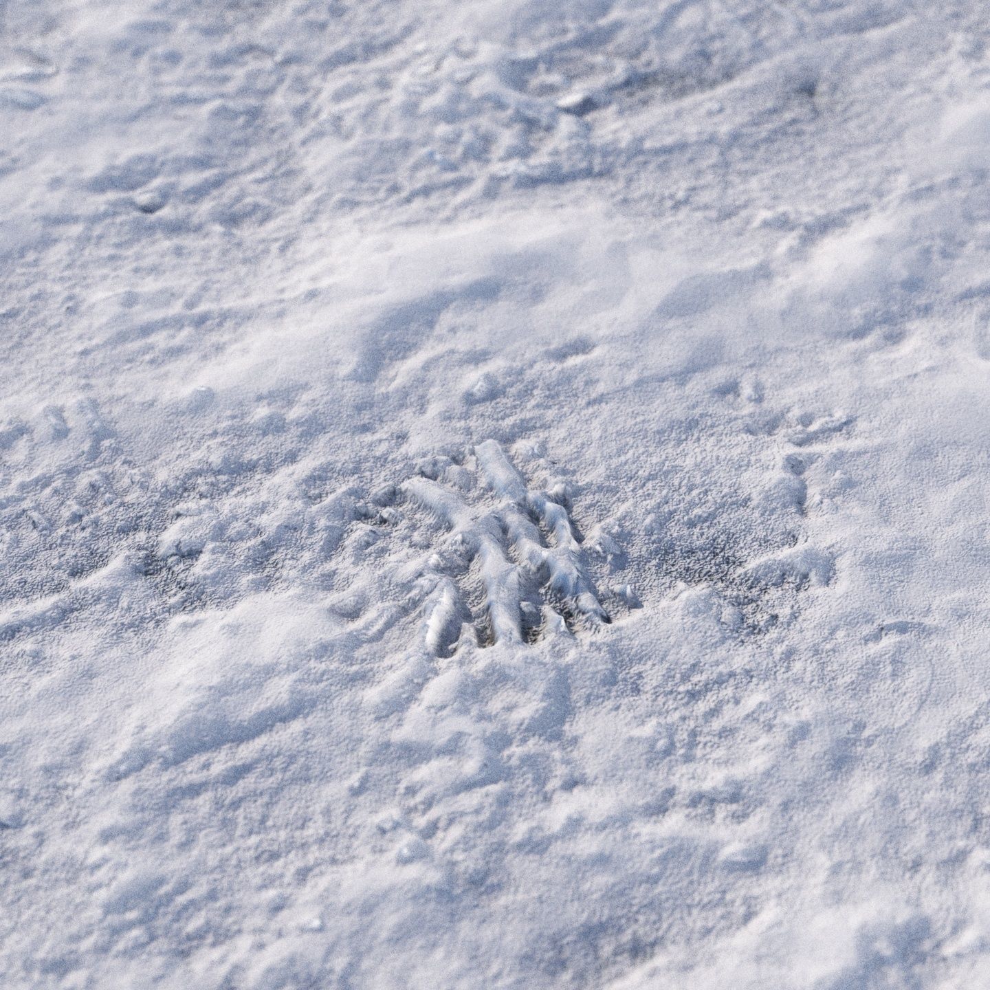 8k seamless snow area material 03 Low-poly 3D model_2