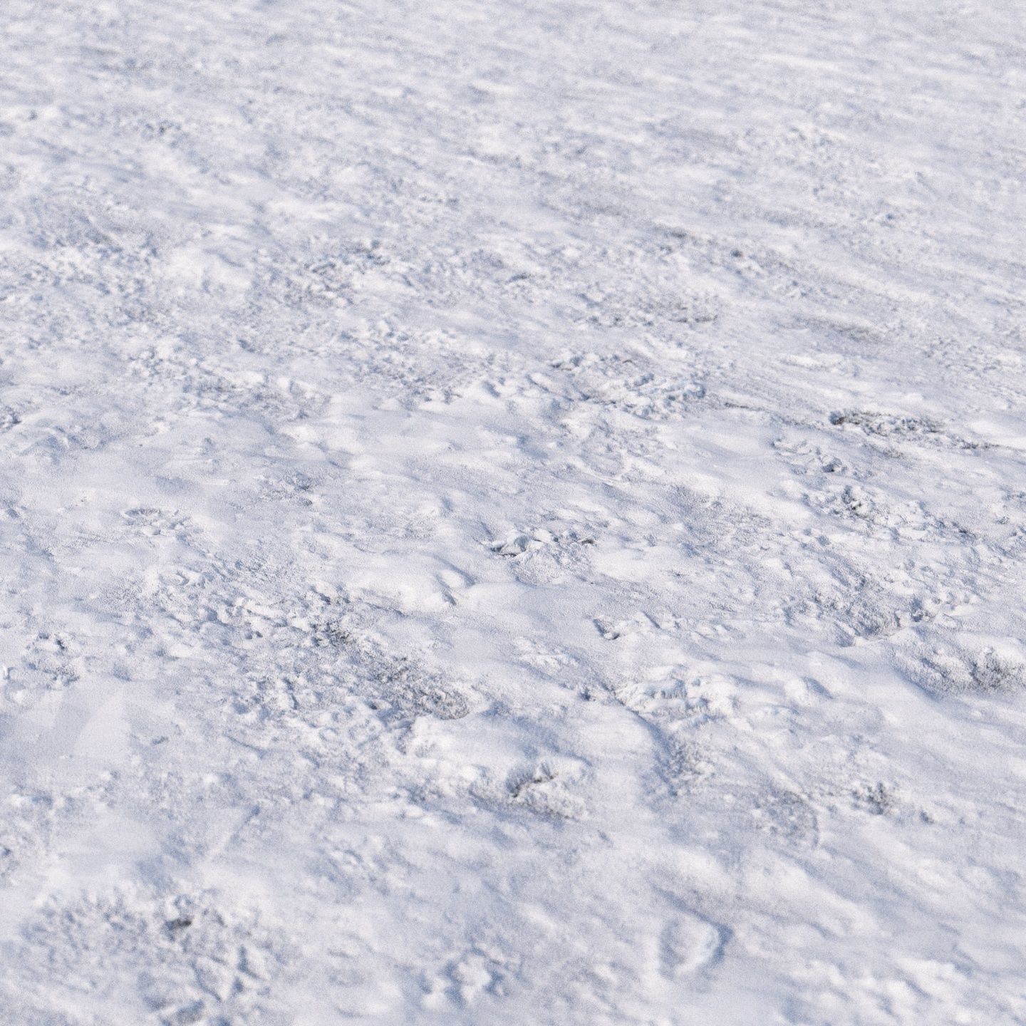 8k seamless snow area material 03 Low-poly 3D model_8