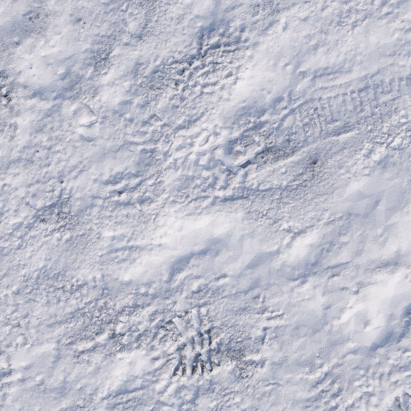 8k seamless snow area material 03 Low-poly 3D model_7