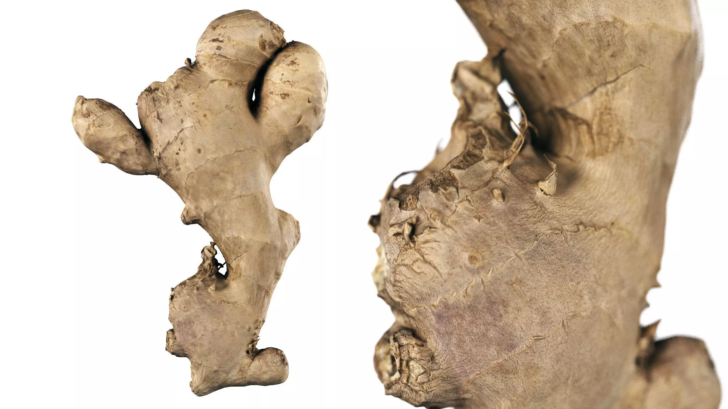 4K Scanned Ginger 3D model