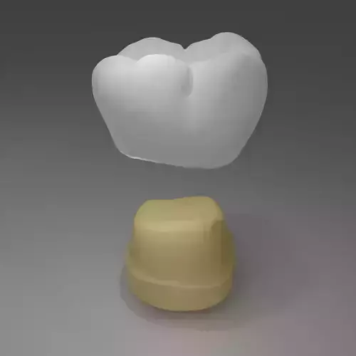 Molar Tooth 46 3D model
