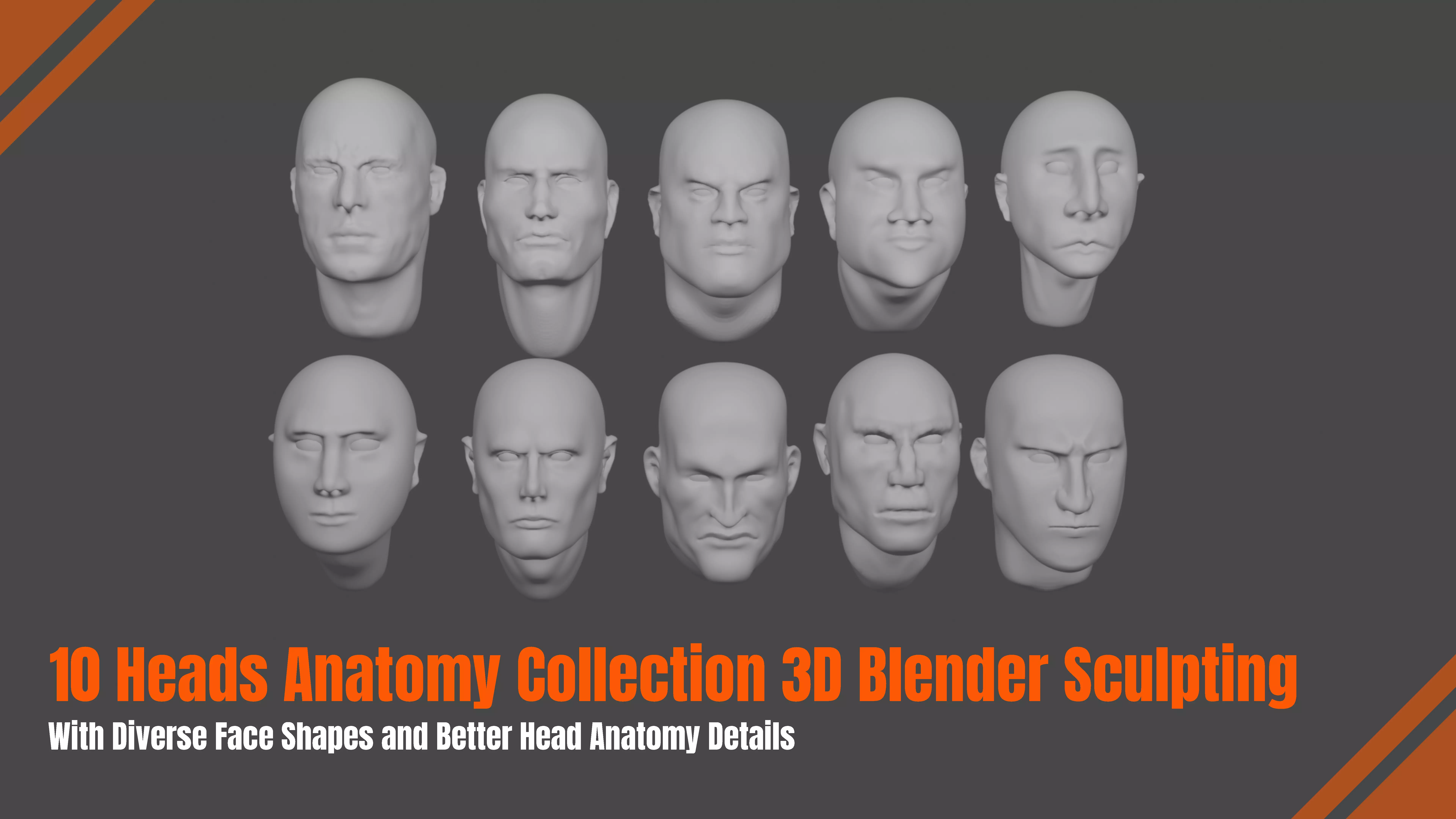 10 HEADS ANATOMY COLLECTION 3D BLENDER SCULPTING 3D model_0
