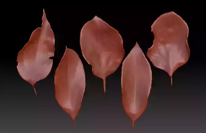 3D printing leaves ZB leaf brush Plant leaves 3D print model