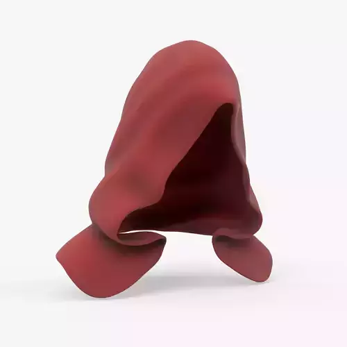 Cloak Low-poly 3D model