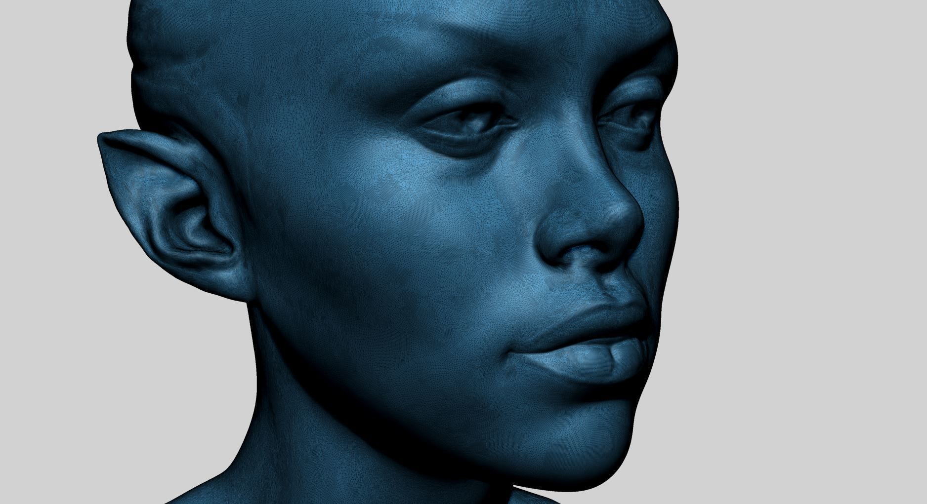 Fantasy Female Bust B 3D print model_9