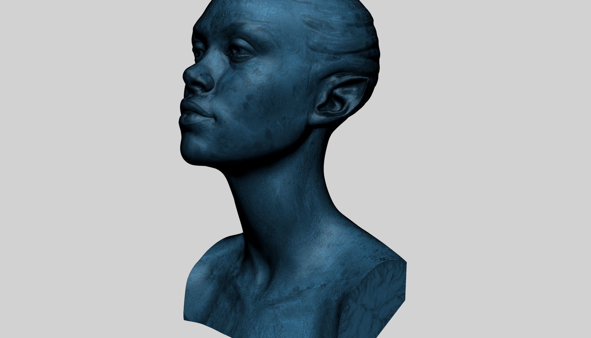 Fantasy Female Bust B 3D print model_11