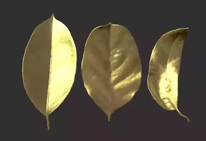 Leaf ZBrush brush 3D printing leaf files Withered leaves 3D print model