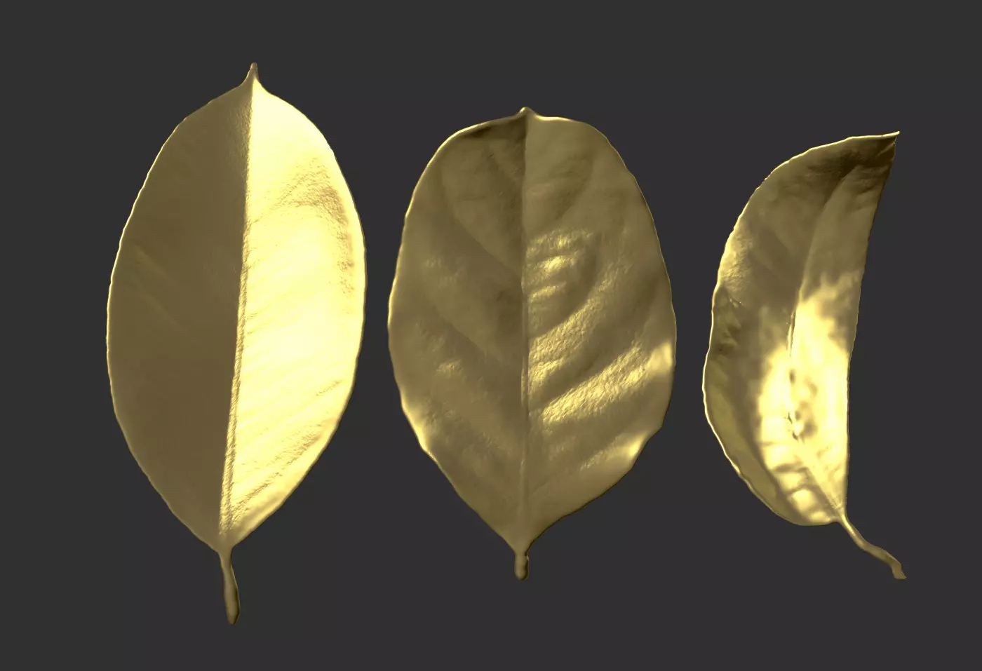 Leaf ZBrush brush 3D printing leaf files Withered leaves 3D print model_0