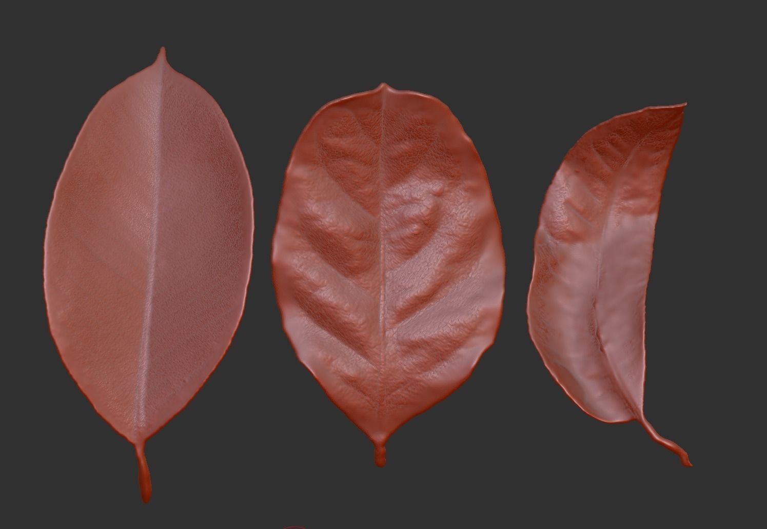 Leaf ZBrush brush 3D printing leaf files Withered leaves 3D print model_2