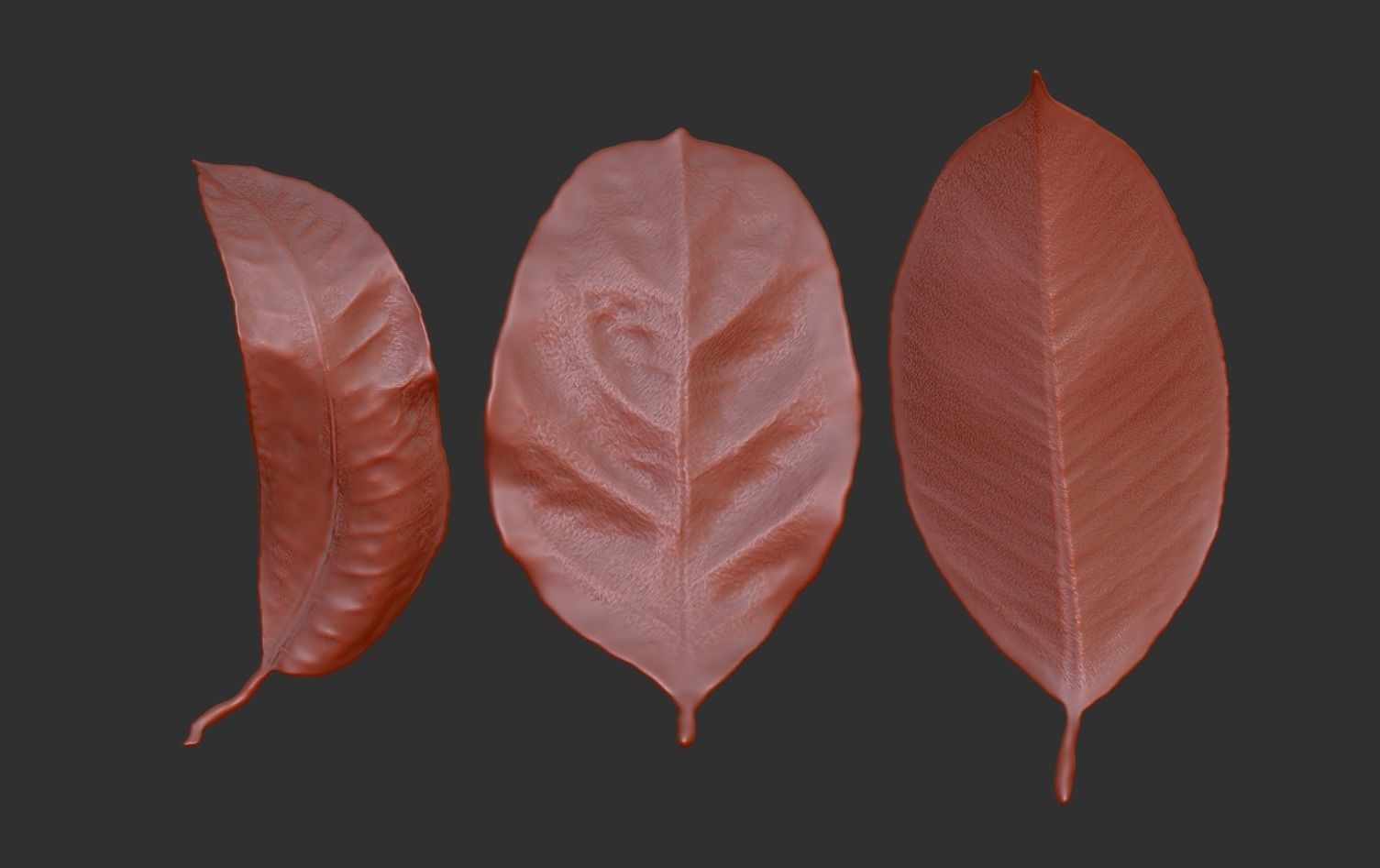 Leaf ZBrush brush 3D printing leaf files Withered leaves 3D print model_1