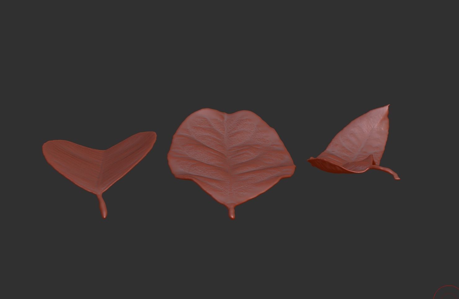 Leaf ZBrush brush 3D printing leaf files Withered leaves 3D print model_4