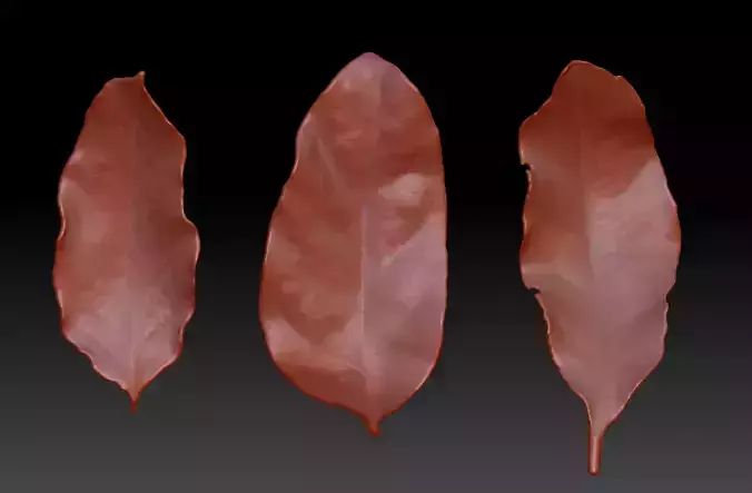 leaf  foliage  leafage 3D printing leaves  ZBrush Leaf Brush 3D print model
