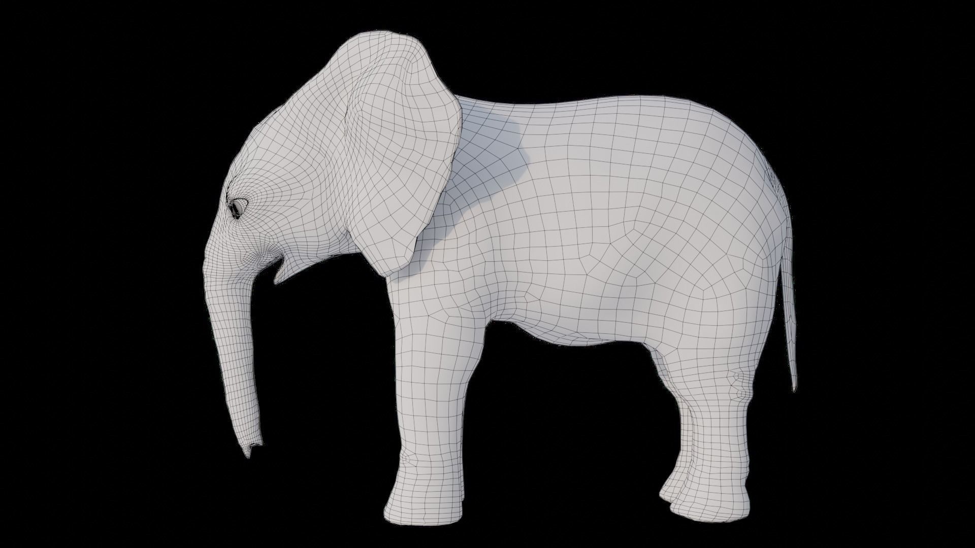Fur Baby Elephant Rigged and Animation Low-poly 3D model_15