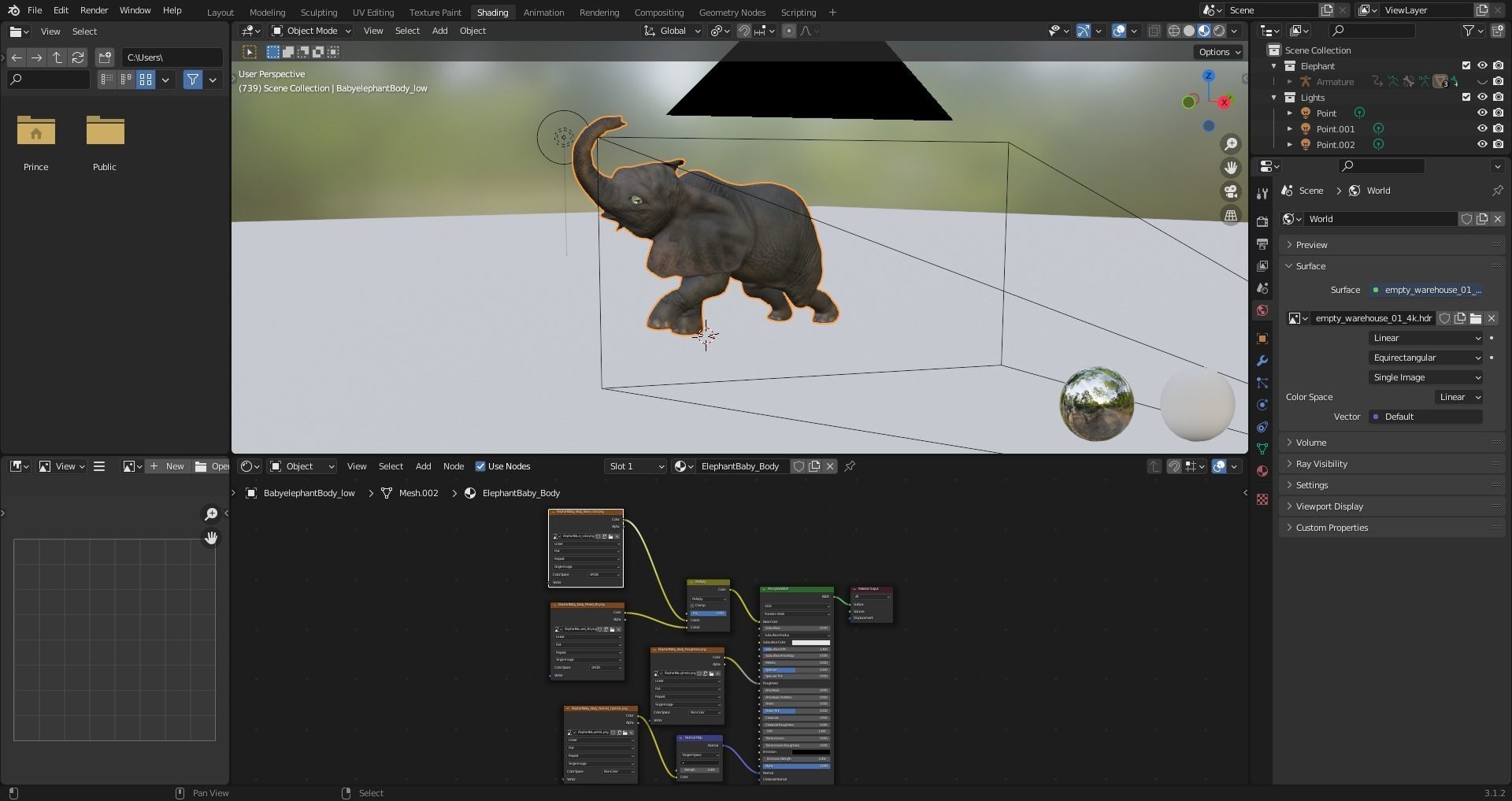 Fur Baby Elephant Rigged and Animation Low-poly 3D model_8