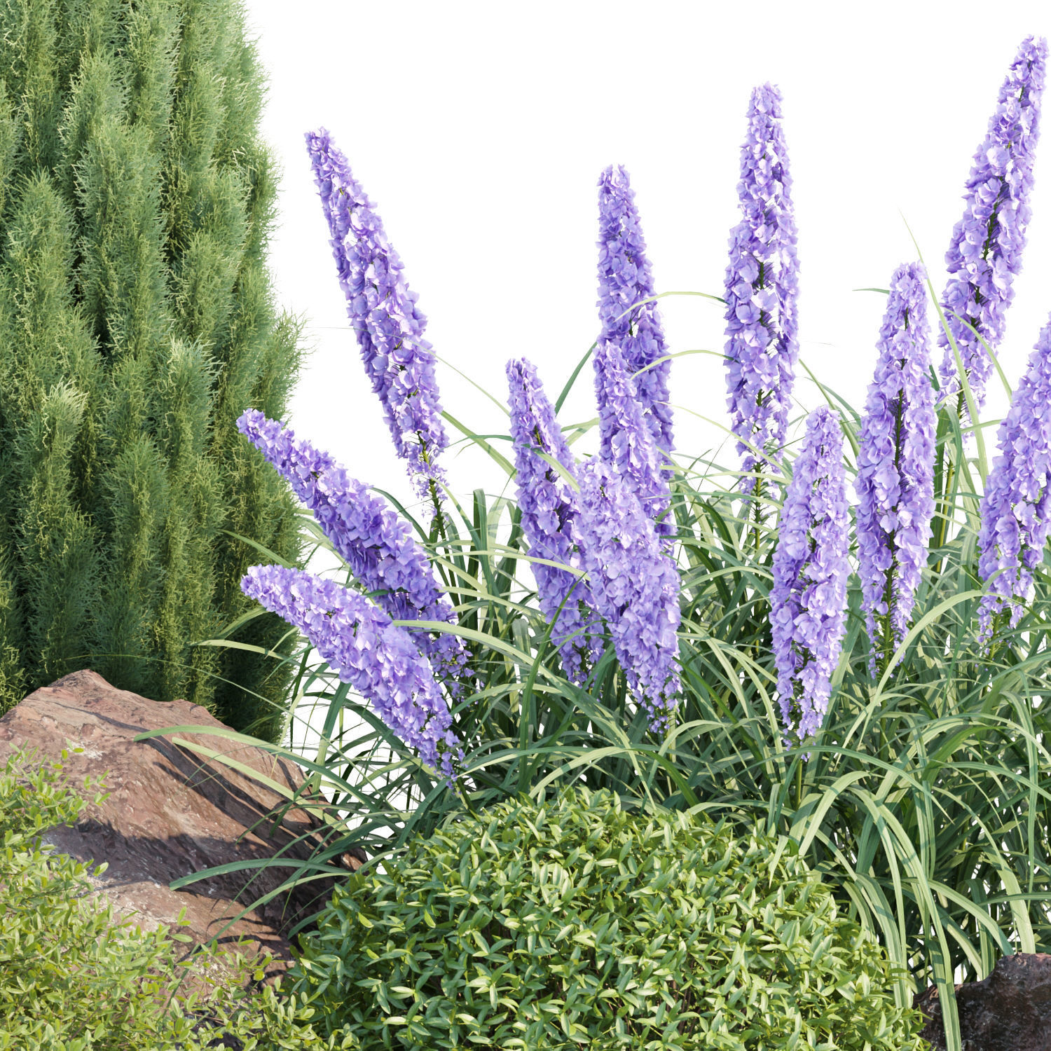 Garden Plants 3D Models collection _22