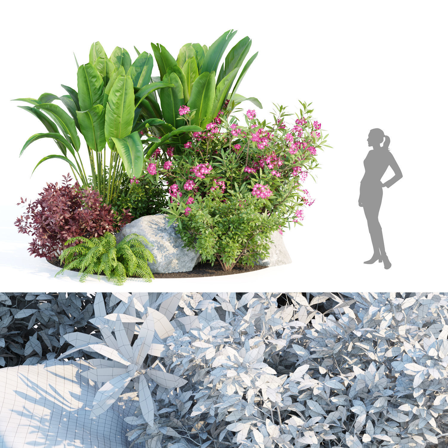 Garden Plants 3D Models collection _13