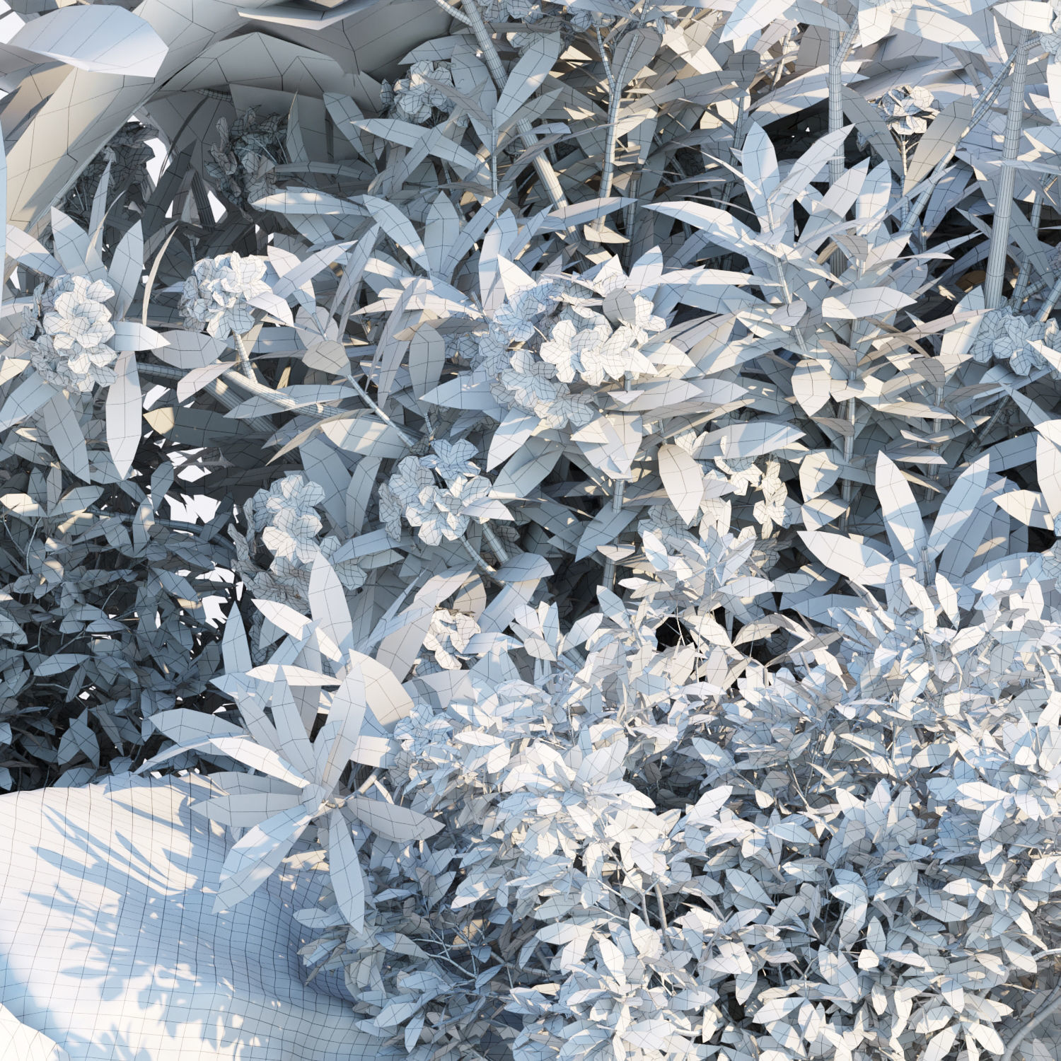 Garden Plants 3D Models collection _17