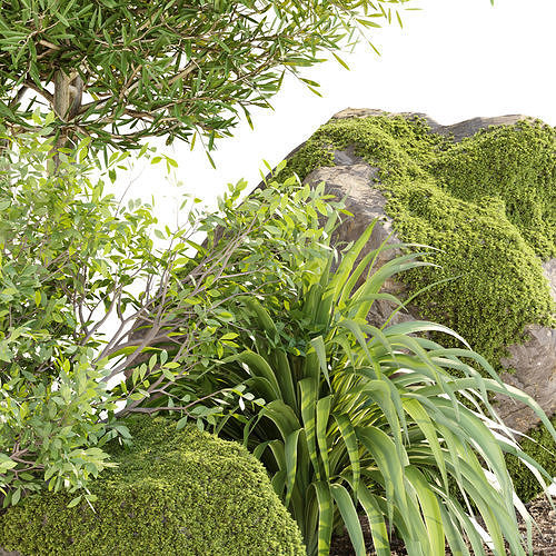 Garden Plants 3D Models collection 3D Model Pack 6