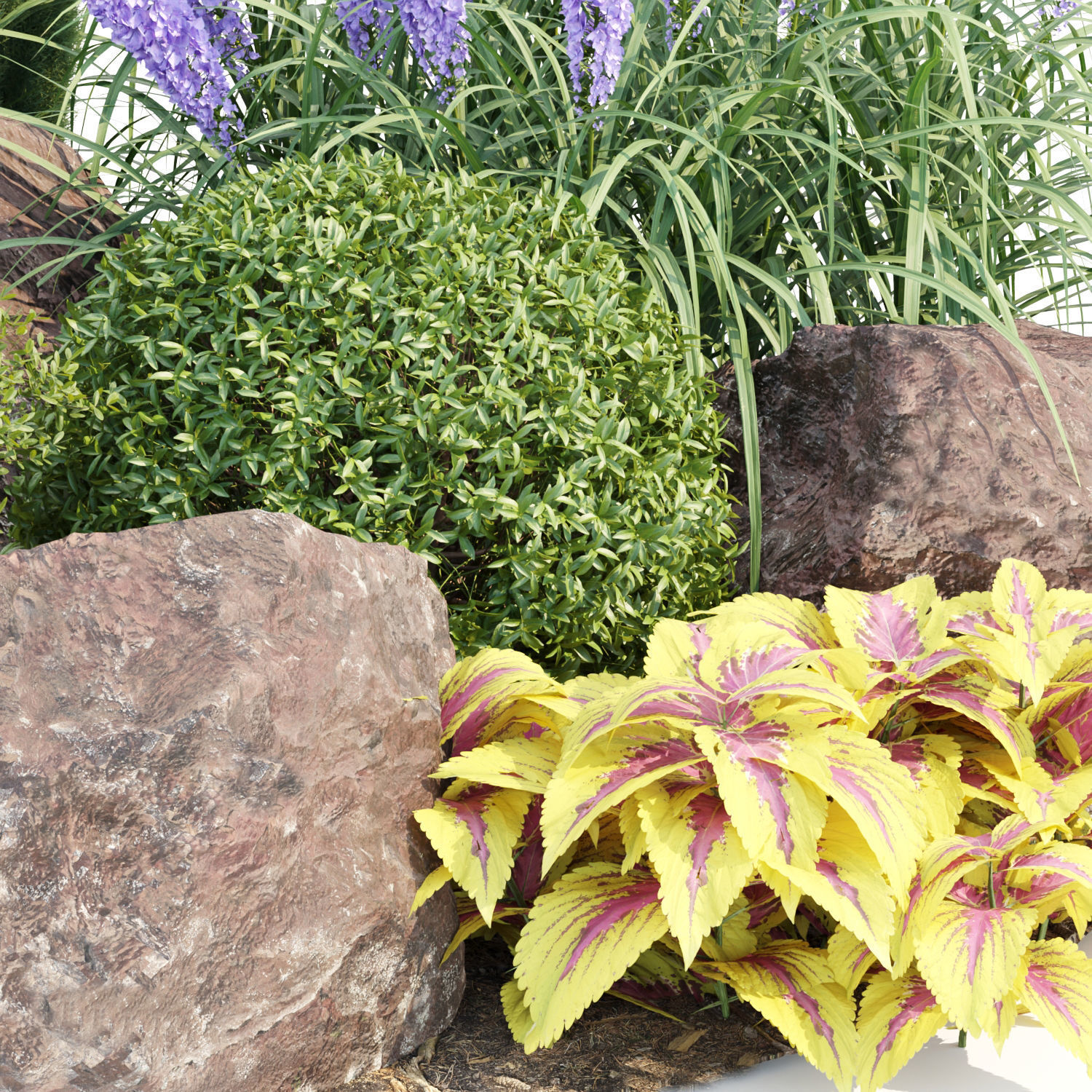 Garden Plants 3D Models collection _24