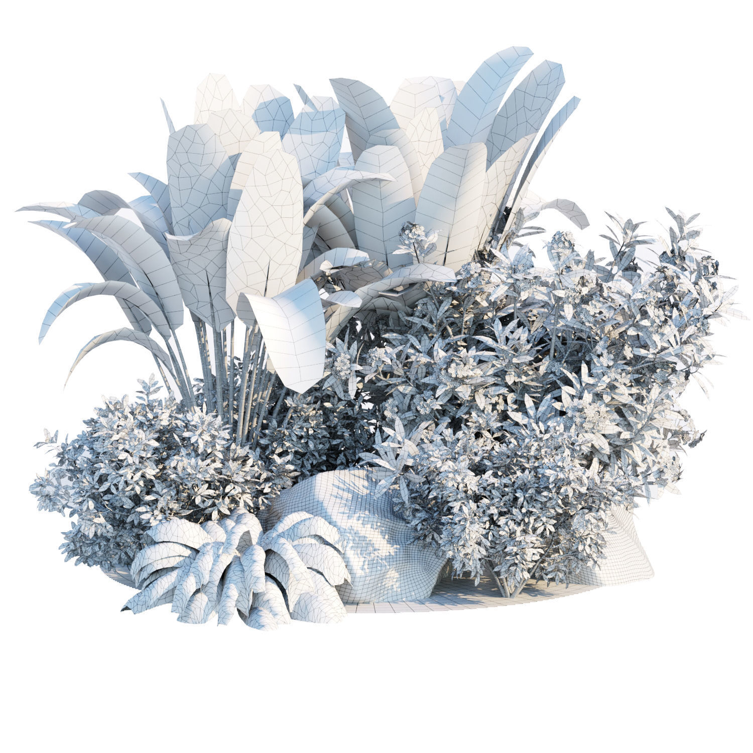 Garden Plants 3D Models collection _16