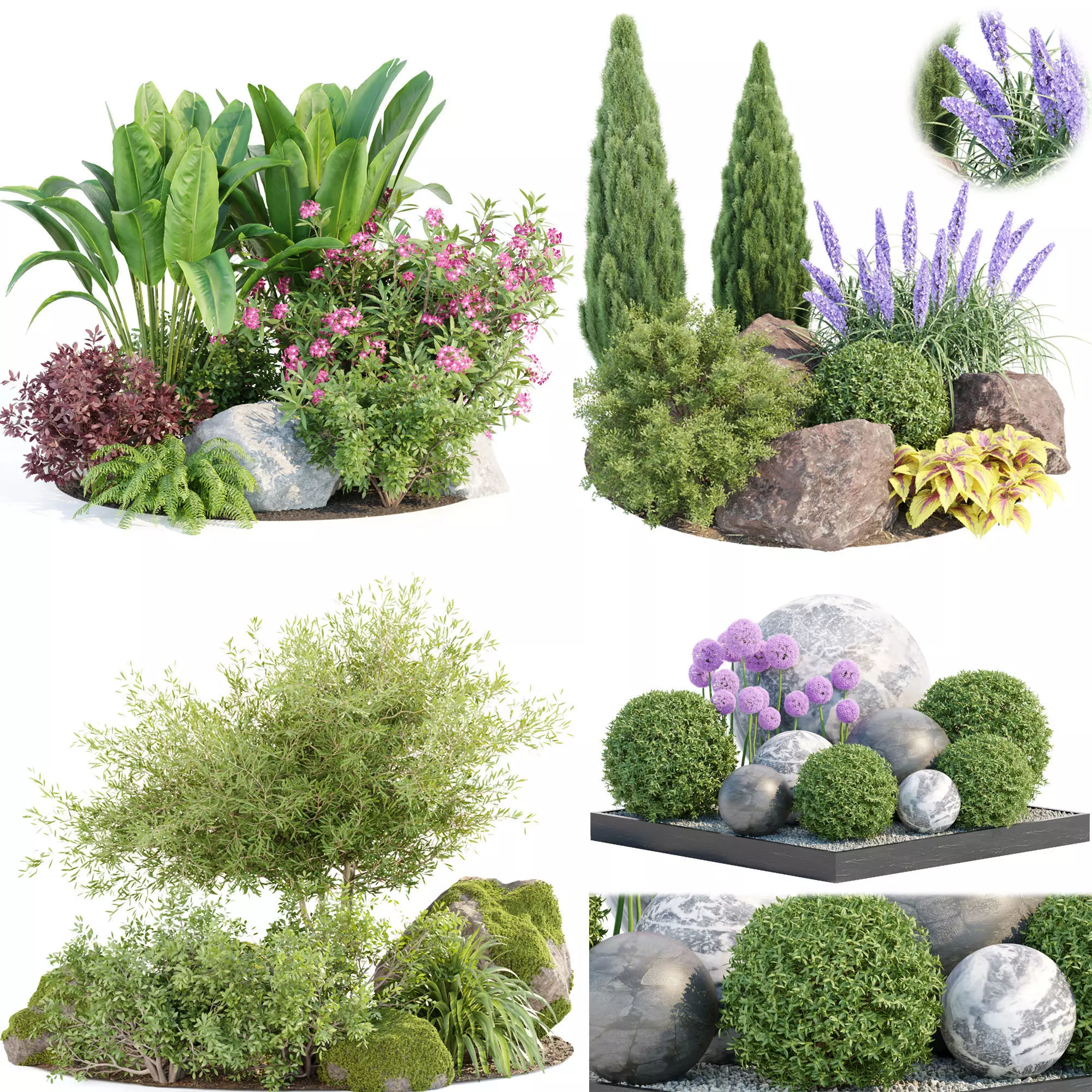 Garden Plants 3D Models collection _0