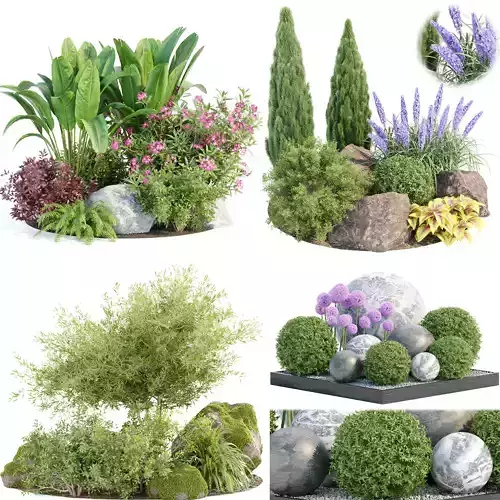 Garden Plants 3D Models collection 