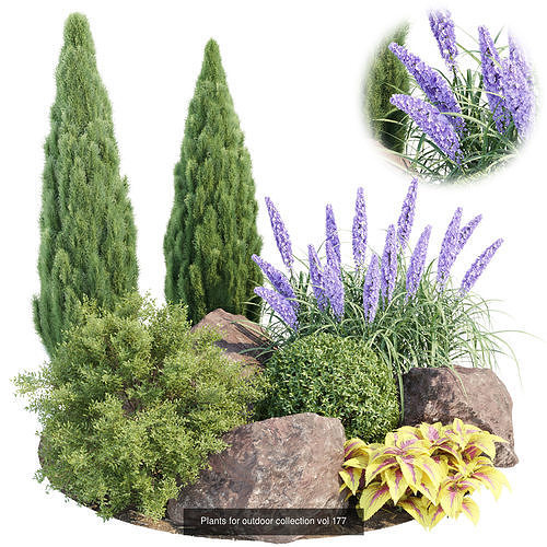 Garden Plants 3D Models collection 3D Model Pack 5
