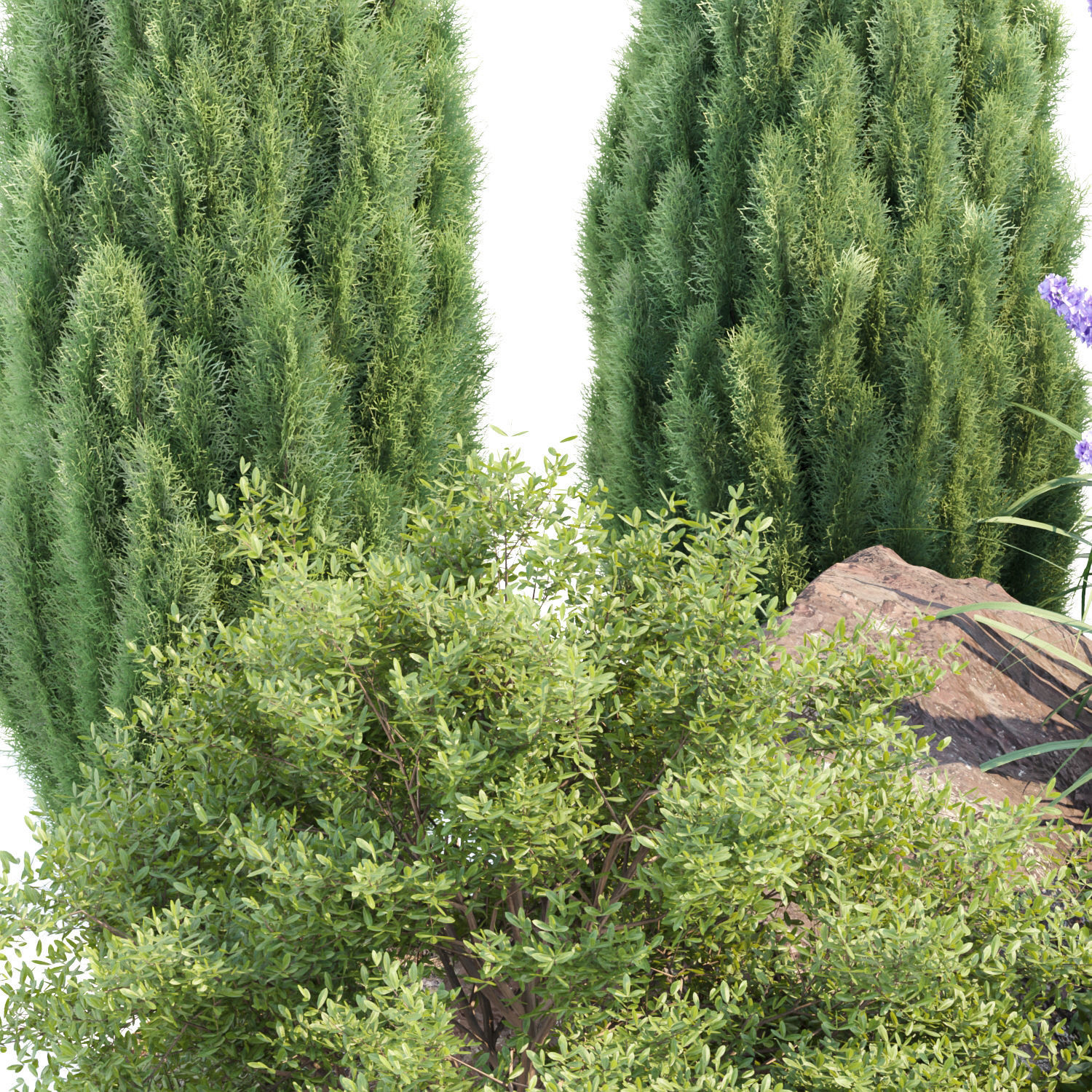 Garden Plants 3D Models collection _23