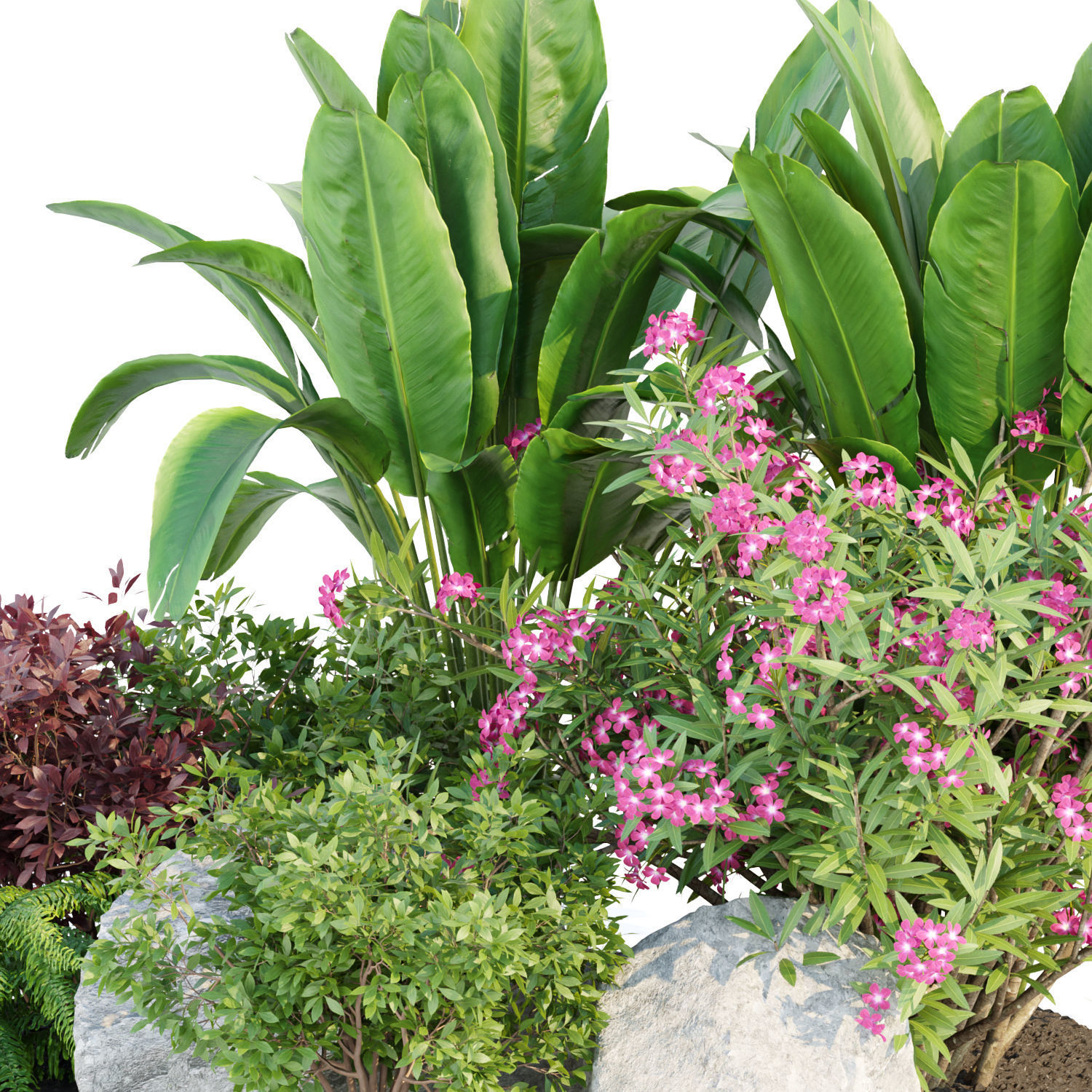 Garden Plants 3D Models collection _15