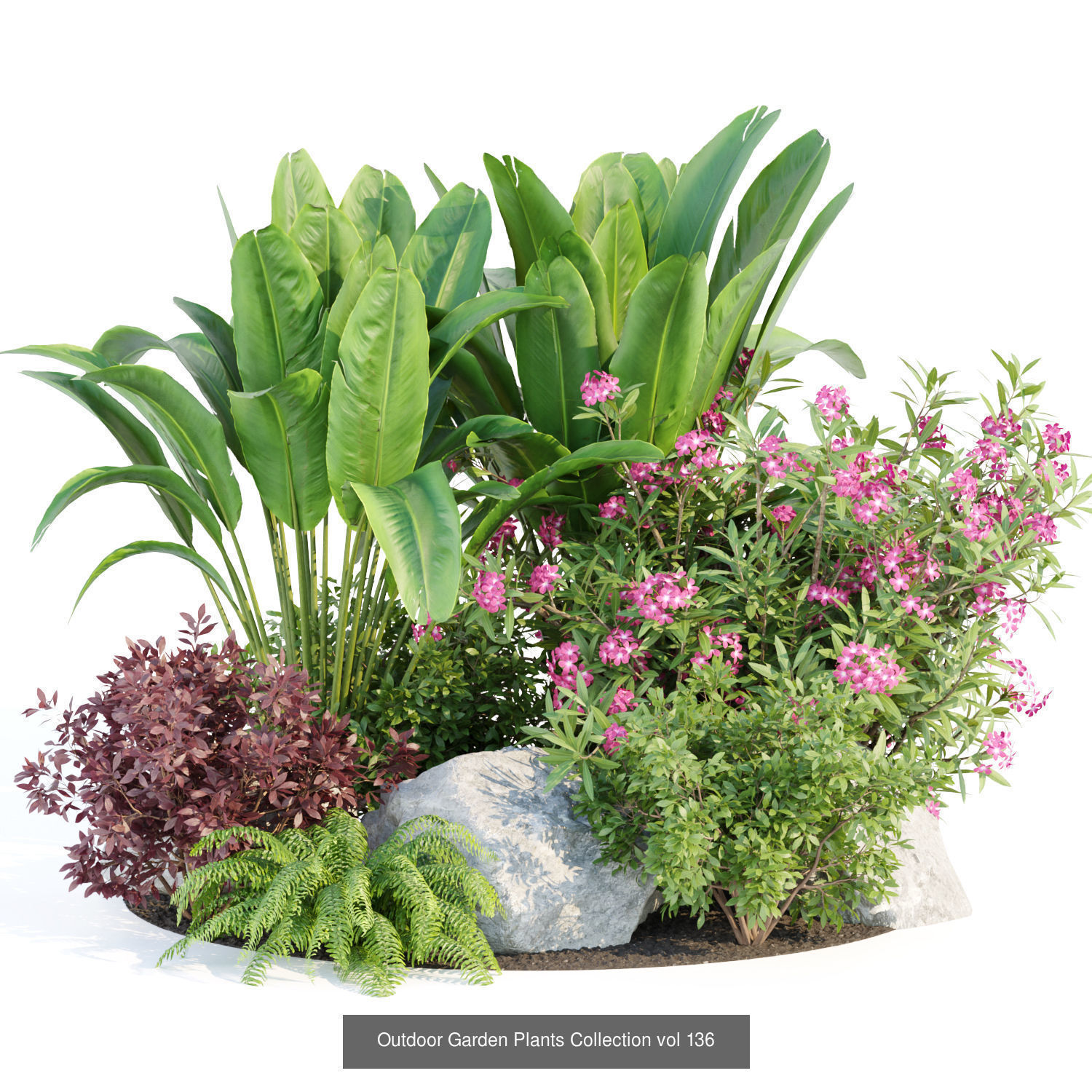 Garden Plants 3D Models collection _1