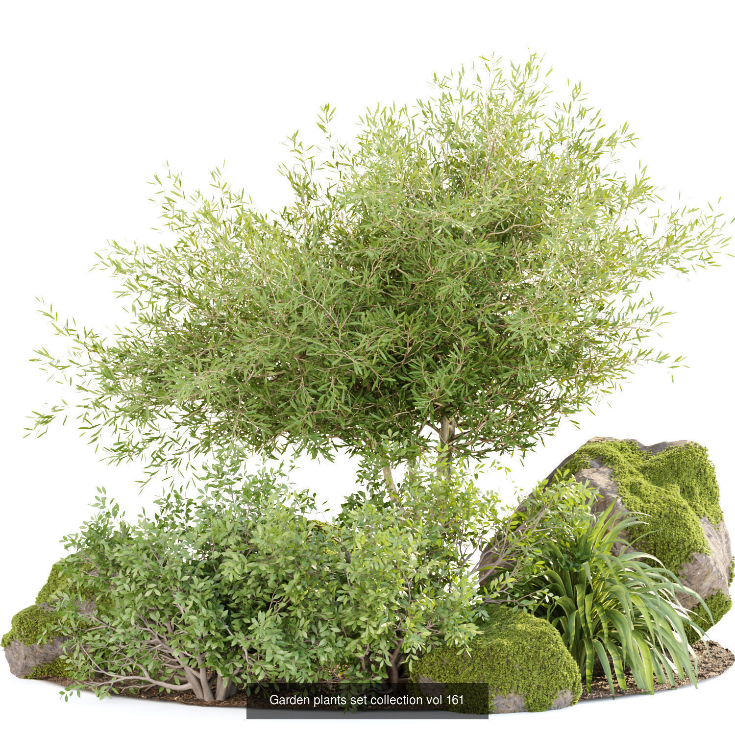 Garden Plants 3D Models collection _2