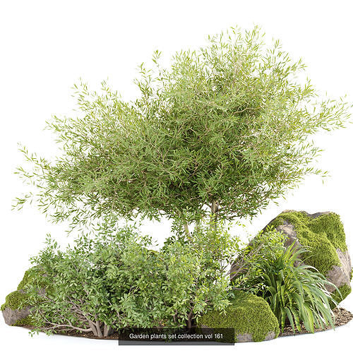 Garden Plants 3D Models collection 3D Model Pack 3