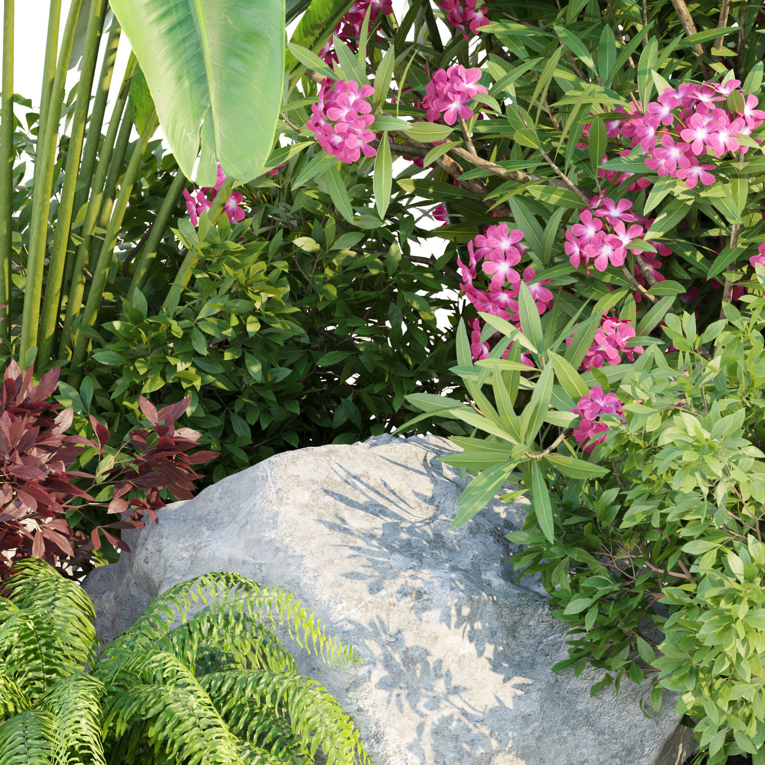 Garden Plants 3D Models collection _12