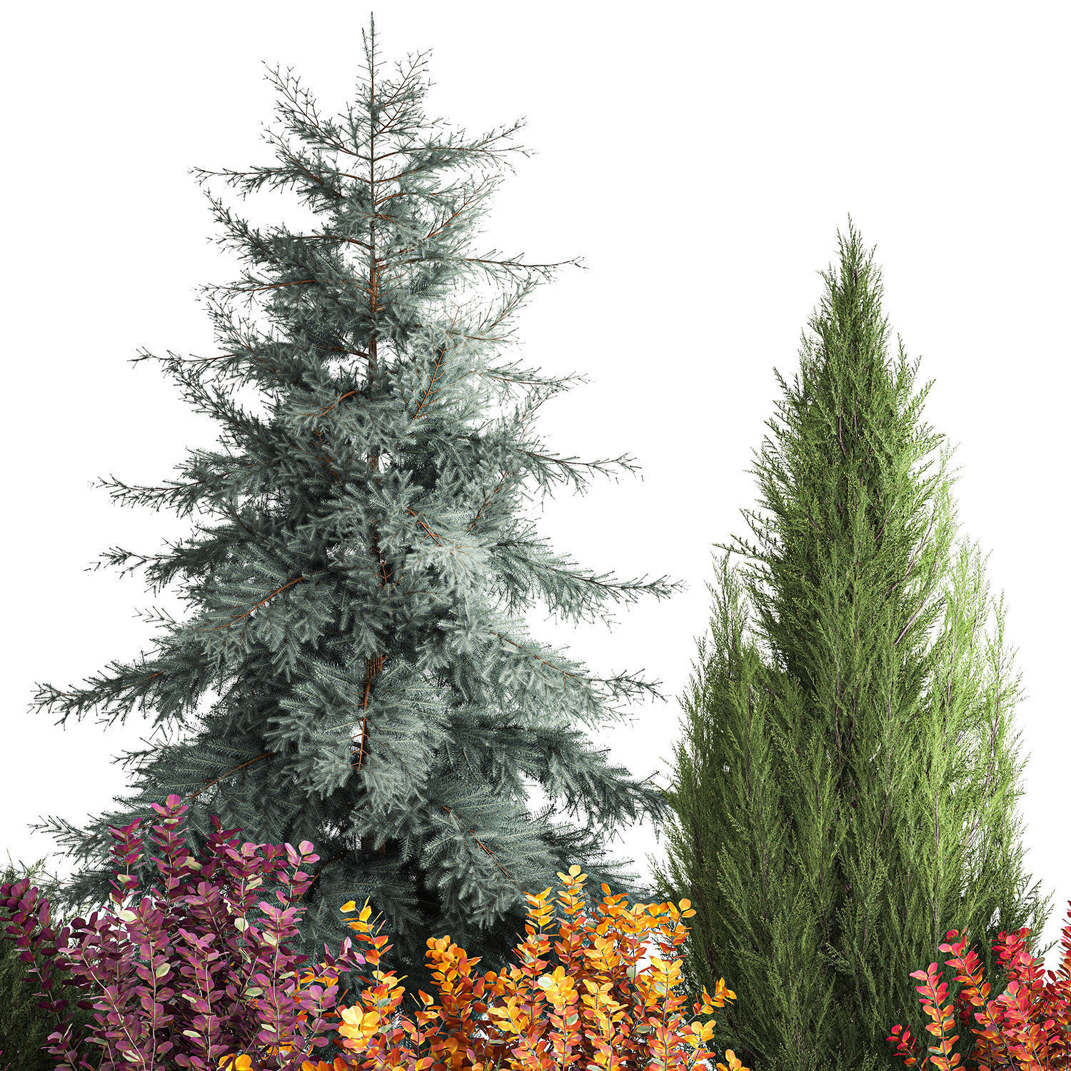 Garden of spruce thuja juniper and barberry 1173 3D model_4