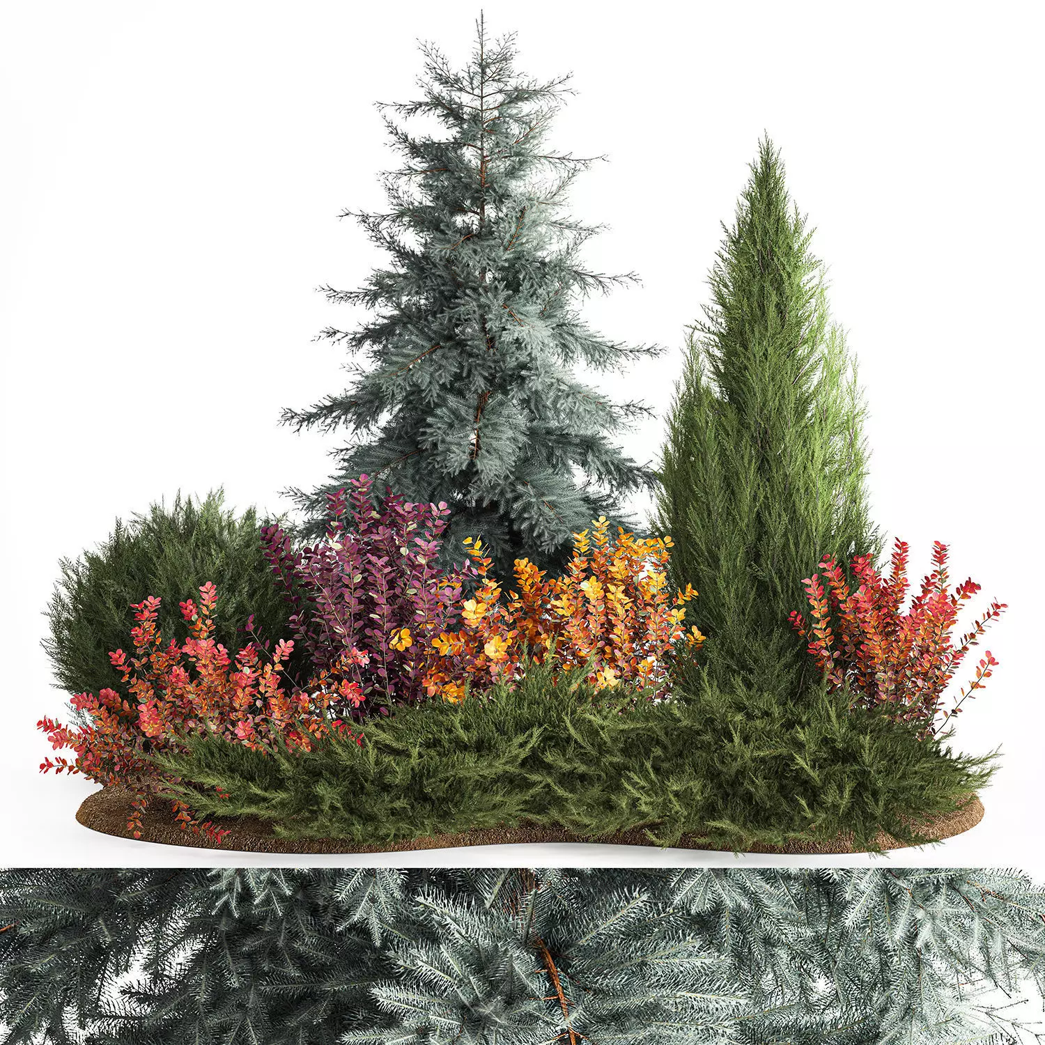 Garden of spruce thuja juniper and barberry 1173 3D model_0