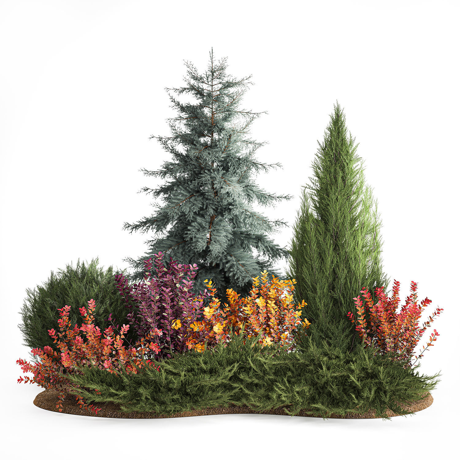 Garden of spruce thuja juniper and barberry 1173 3D model_1