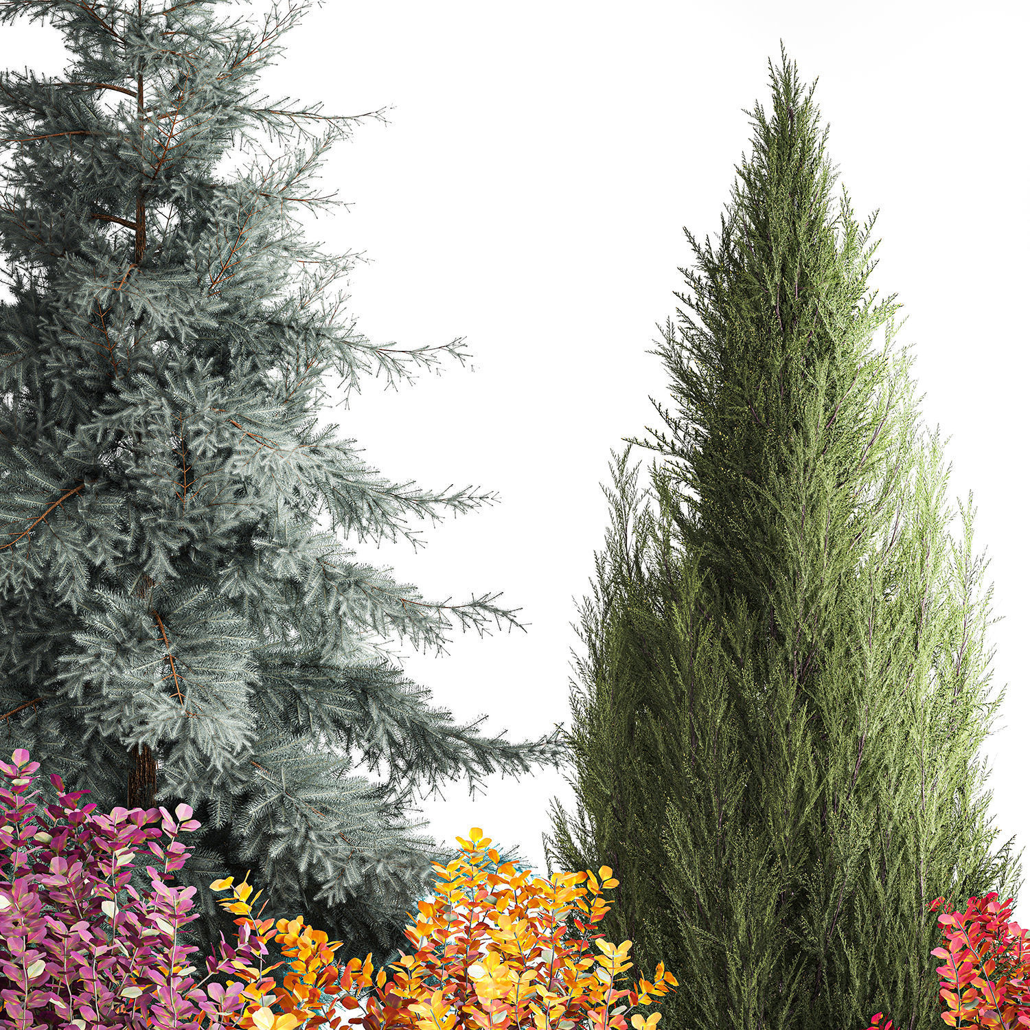 Garden of spruce thuja juniper and barberry 1173 3D model_7