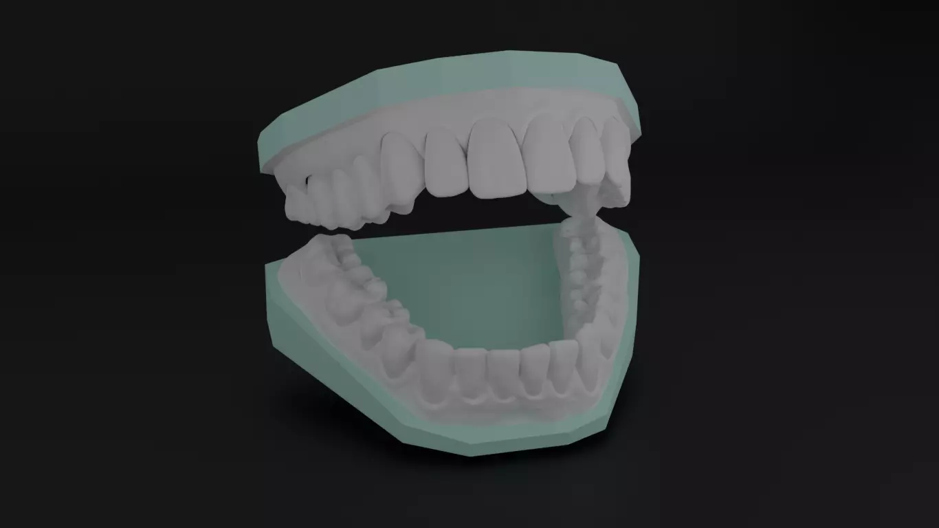 Human teeth 3D print model_0