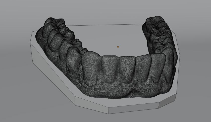 Human teeth 3D print model_4