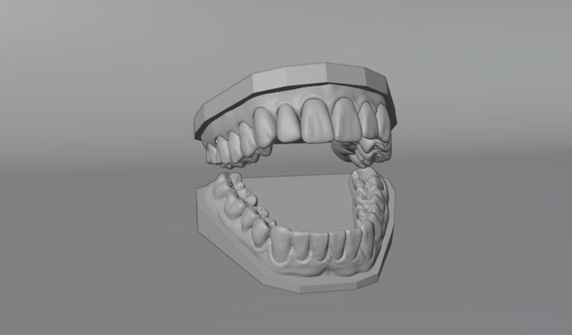 Human teeth 3D print model_2